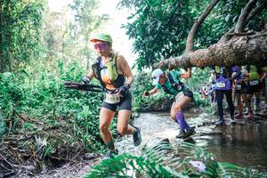 BIB: 
                            <button type="button" onclick="openModal(25459687)" class="btn btn-primary btn-sm float-right btn-popup" data-toggle="modal" data-target=".modal-high-quality">
                        <i class="fas fa-shopping-cart"></i> Add to Cart
                    </button>
                                            <button type="button" onclick="isThisMe(25459687, true)" class="btn btn-success btn-sm float-right btn-popup btn-isme hidden" data-toggle="tooltip" data-placement="bottom" title="นี่คือรูปของคุณใช่ไหม คลิกที่นี่เพื่อเอาเข้าอัลบั้ม">
                        <i class="fas fa-plus"></i> Add to album
                    </button>
                    <button type="button" onclick="isThisMe(25459687, false)" class="btn btn-warning btn-sm float-right btn-popup btn-isnotme hidden">
                        <i class="fas fa-ban"></i> Remove from album
                    </button>